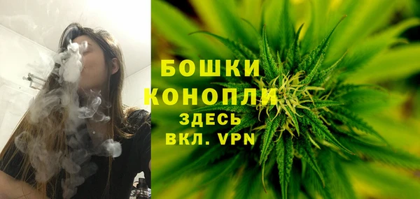 шишки Алексеевка